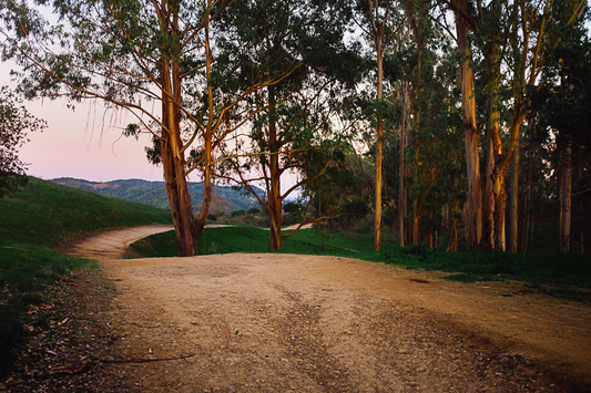 The Ridge II, San Rafael